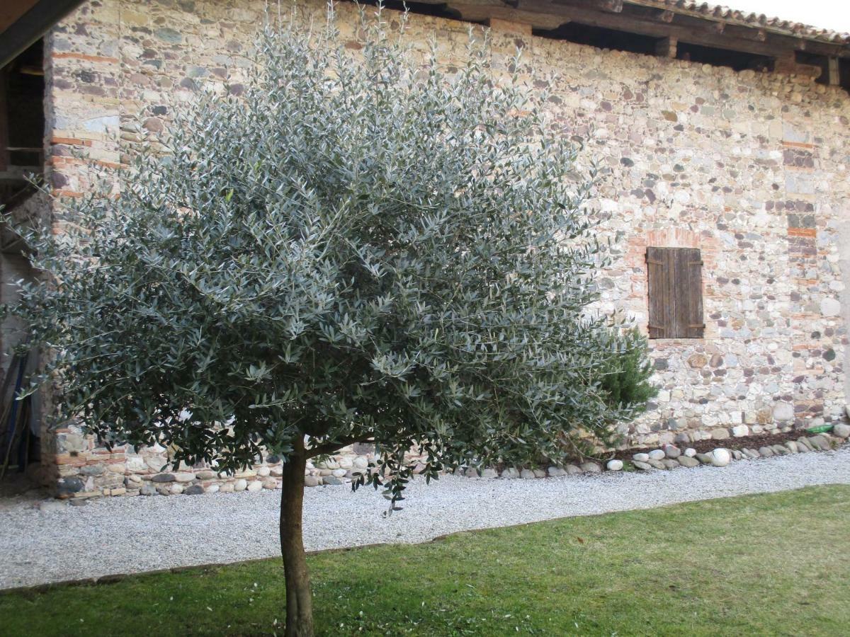 La Corte Di Ottorina Villa Pederobba Dış mekan fotoğraf